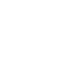 Vector 4